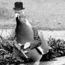 Profilbild von AL Pigone