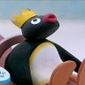 Nuno's profile picture