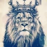kingtweet2023's profile picture