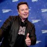 Sir Elon's profile picture