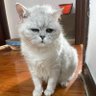 TTxxTT 的头像