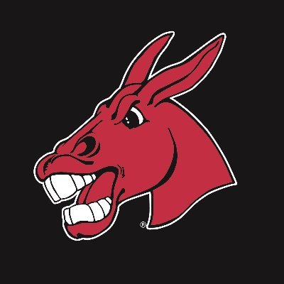 UCM Mules & Jennies's profile picture
