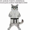 Евгения's profile picture