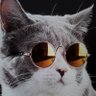 Фото профиля Meow