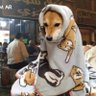 بتر الخواطر's profile picture