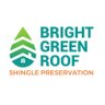 Bright Green Roof's profile picture