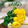 ZAHI KhAIR ALLAH's profile picture