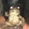 Richi's profile picture