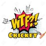 WTF Cricket's profile picture