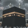 Фото профиля مصطفى محمود