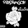 Pendragon 's profile picture