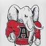 RedElephants profil fotoğrafı