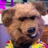 Profilbild von Atypical Reply Dog