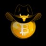 Bullish Cowboy 的头像