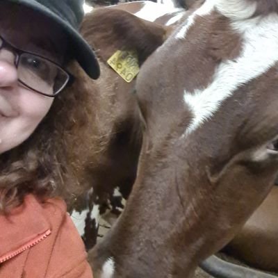 Seija Kairinen's profile picture