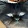 Reigen Swage's profile picture