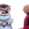 Herbert O's profile picture