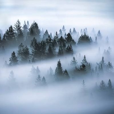 ❄️ Weather_tr ❄️'s profile picture