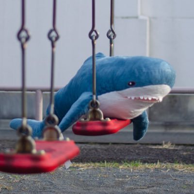 ac0_lions's profile picture