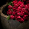 شوشو profil fotoğrafı