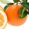 橙【だいだい】🦄🍊 profil fotoğrafı