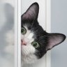 ミュウ✕2 profil fotoğrafı