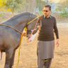 Faisal Hariana🇵🇰 的头像