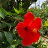 Фото профиля なにげない日々