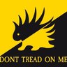The Prickly Ambivert's profile picture