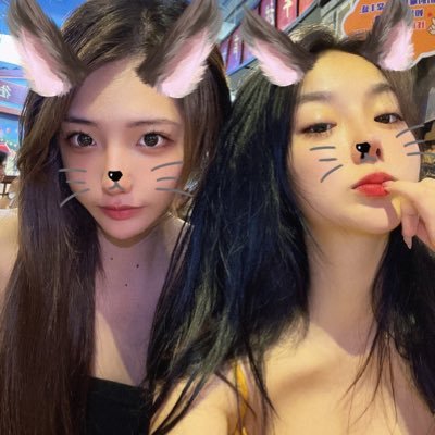feitunsao0's profile picture