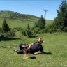 P.İ.R. 的头像