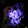 Фото профиля zzm239
