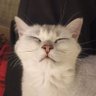 jeunefilleenfeu's profile picture