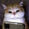 Profilbild von zaramoors
