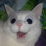 Marianito.com's profile picture