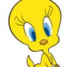 tweety's profile picture