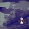 ツイスラ's profile picture
