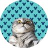 クリーミーⓜ🐰💙's profile picture