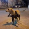 bs profil fotoğrafı