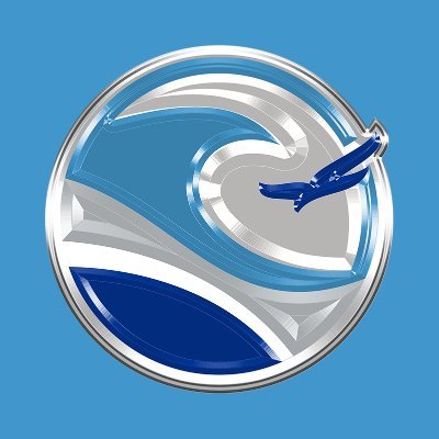 UFLBreakers's profile picture