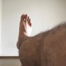 Rodrigo feet profil fotoğrafı
