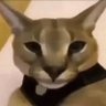 Фото профиля Gatowbn