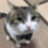 other's profile picture