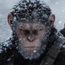 Oscar Angeles's profile picture