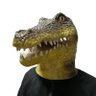 Profilbild von Don Lagartijo 🦖