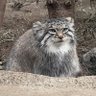 なりみ・横浜奪首 profil fotoğrafı