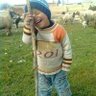 Mahmoud M's profile picture