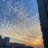 choulry 的头像