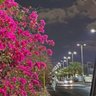 ًُ's profile picture