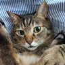 Фото профиля もなぞう